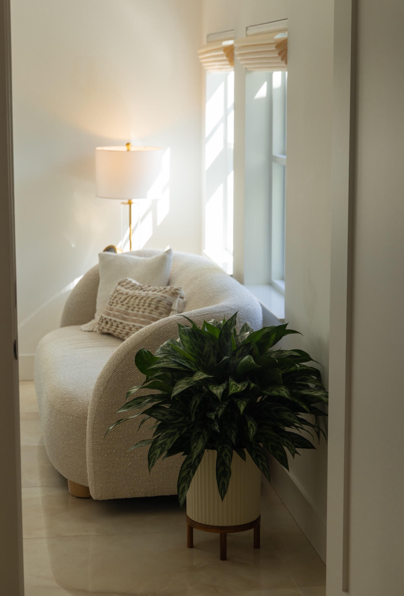White boucle texture, sunlit
