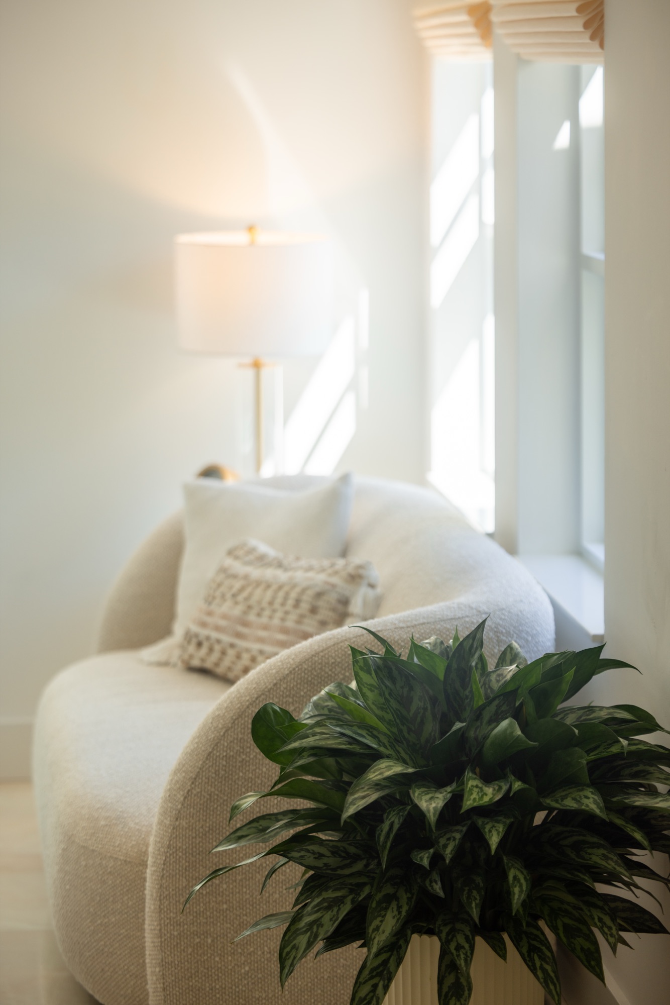 Sunlit atmosphere shot, lamp and warm interior